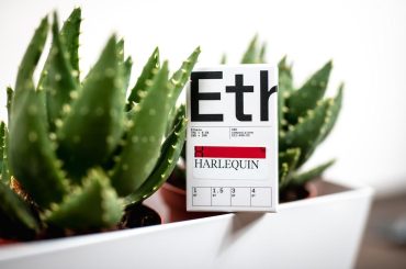 Le CBD aiderait à combattre les maladies neurodégénératives