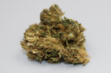 Le CBD augmente-t-il la libido ?