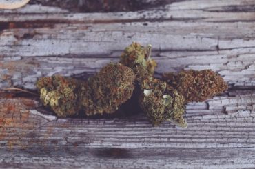 Le CBD : un anti-inflammatoire naturel