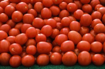 Recette : Tarte à la tomate et au CBD